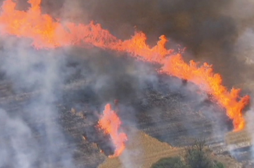 An aerial view of flames burning across a paddock.