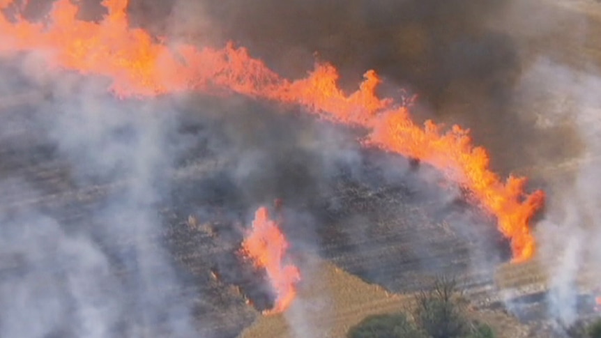 An aerial view of flames burning across a paddock.