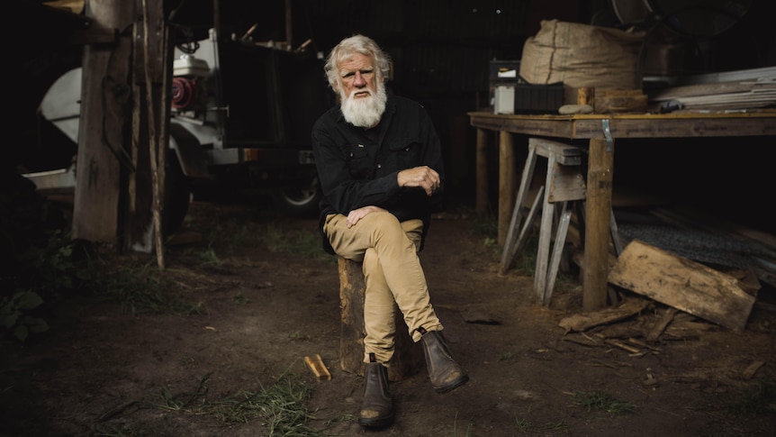 An older man with white hair and full beard sits on a tree stump.