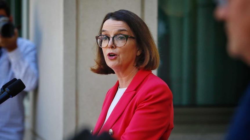 Anne Ruston addresses the media at a lectern in a courtyard