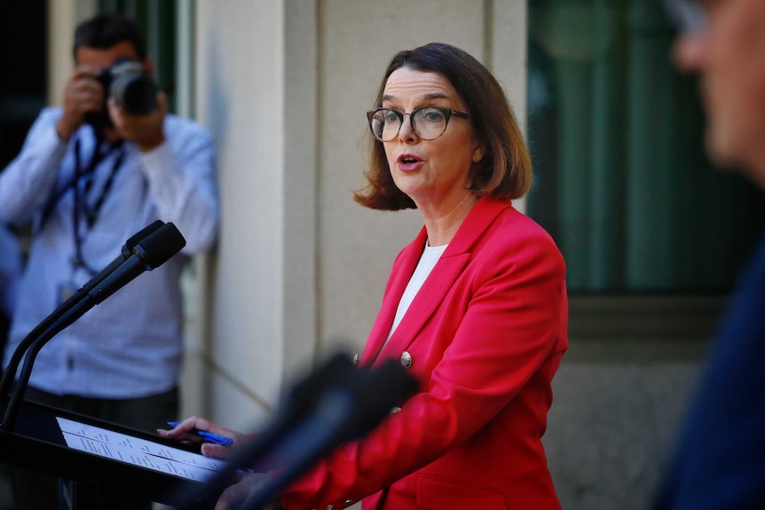 Anne Ruston addresses the media at a lectern in a courtyard