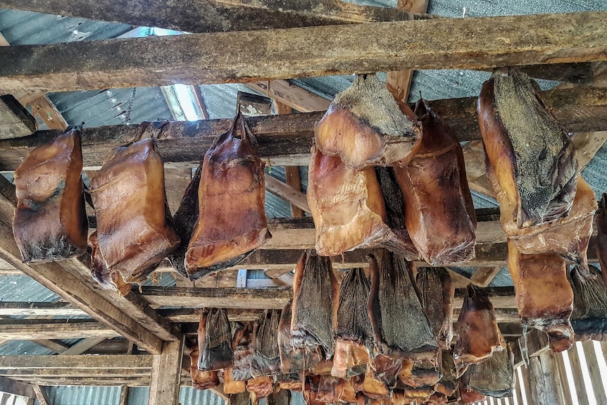 Shark meat is being hung up to dry.