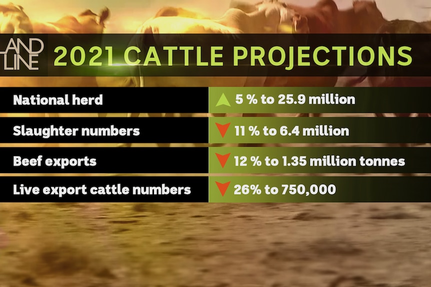 Slide showing MLA cattle projections
