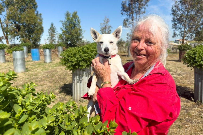 Liz wearing a pink shirt holds a small dog, boy, in her caper garden. 