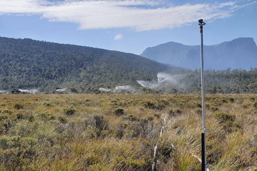 Sprinklers installed near Mount Anne