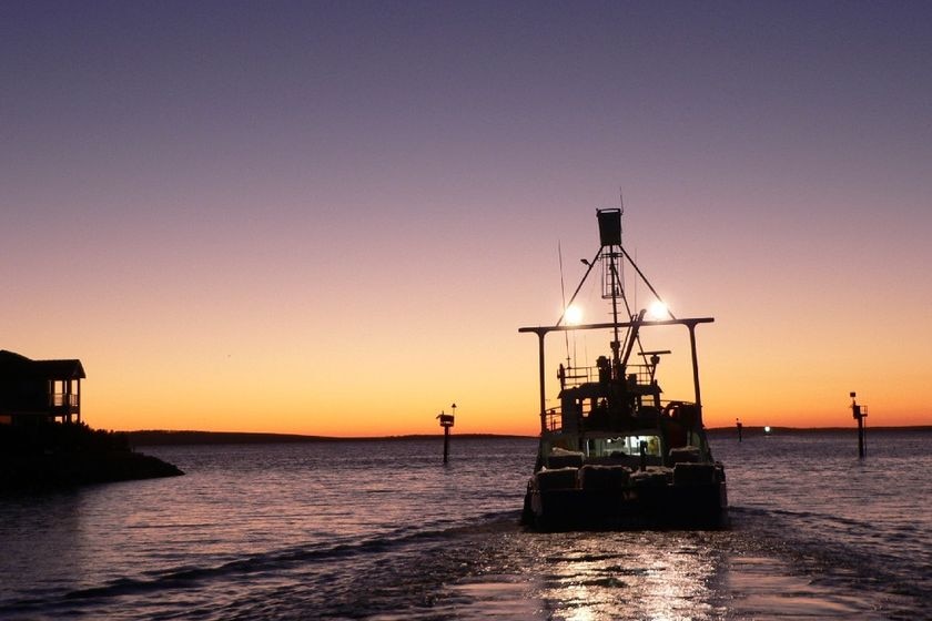 Tuna boat heads to sea in the evening