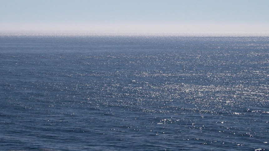 The ocean stretches into the distance.