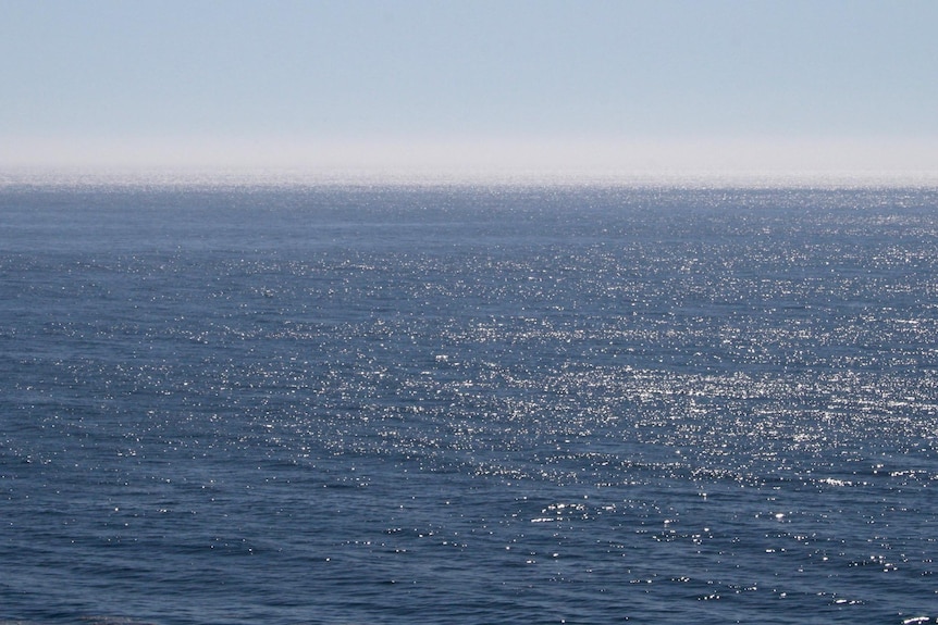 The ocean stretches into the distance.