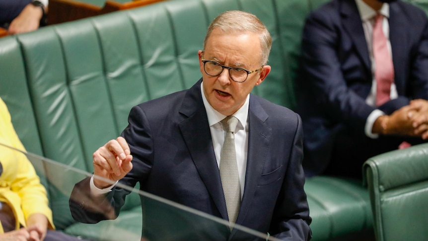 Anthony Albanese speaks in the House of Representatives