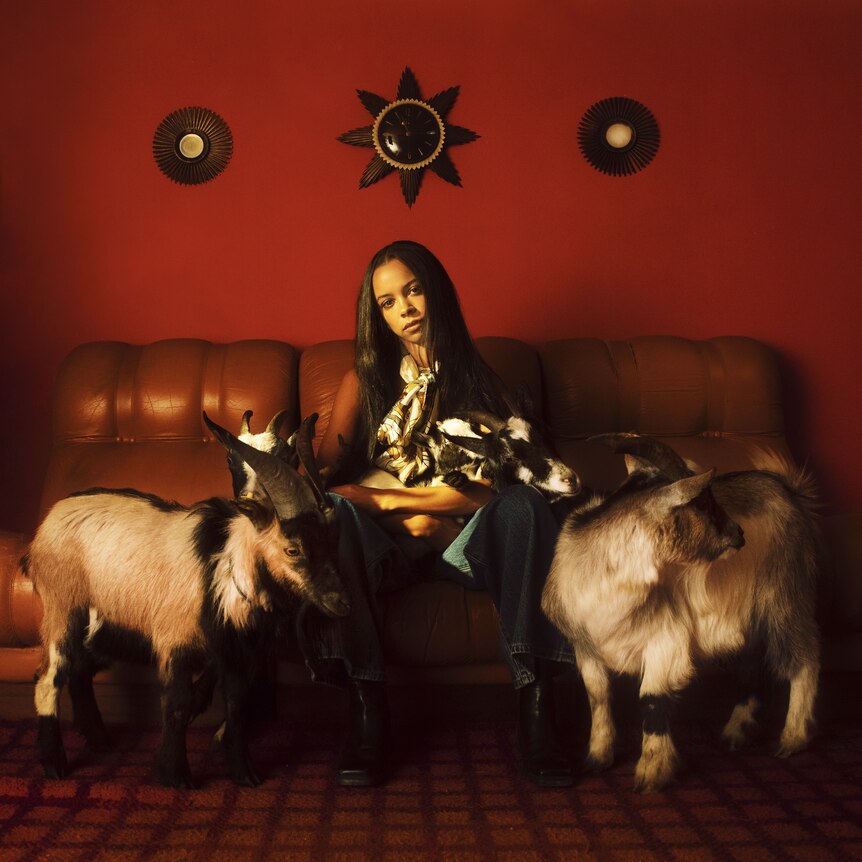 TSHA sits on a couch in a red room with three goats
