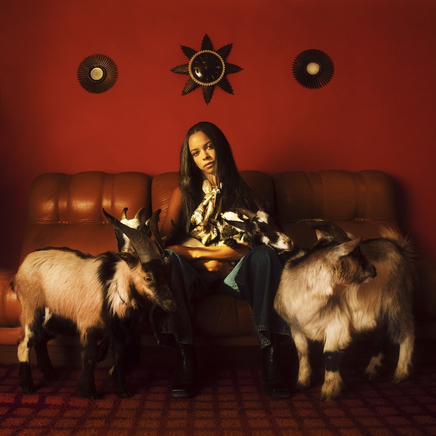 TSHA sits on a couch in a red room with three goats