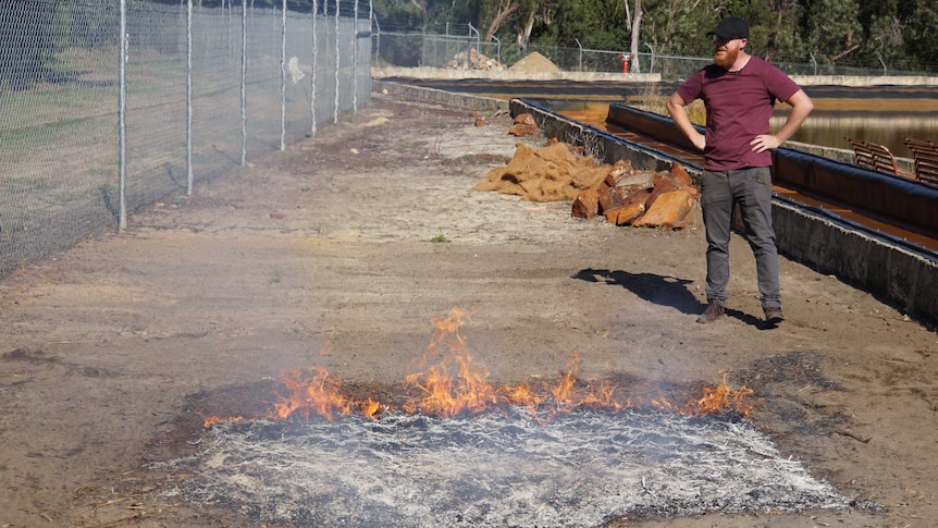 Ryan Tangney stands next to a roughly 2m by 2m fire pit, as the heat warps the air above it.