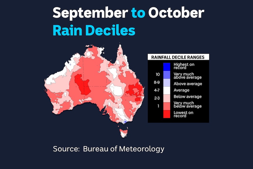 A map of Australia showing rain patches.