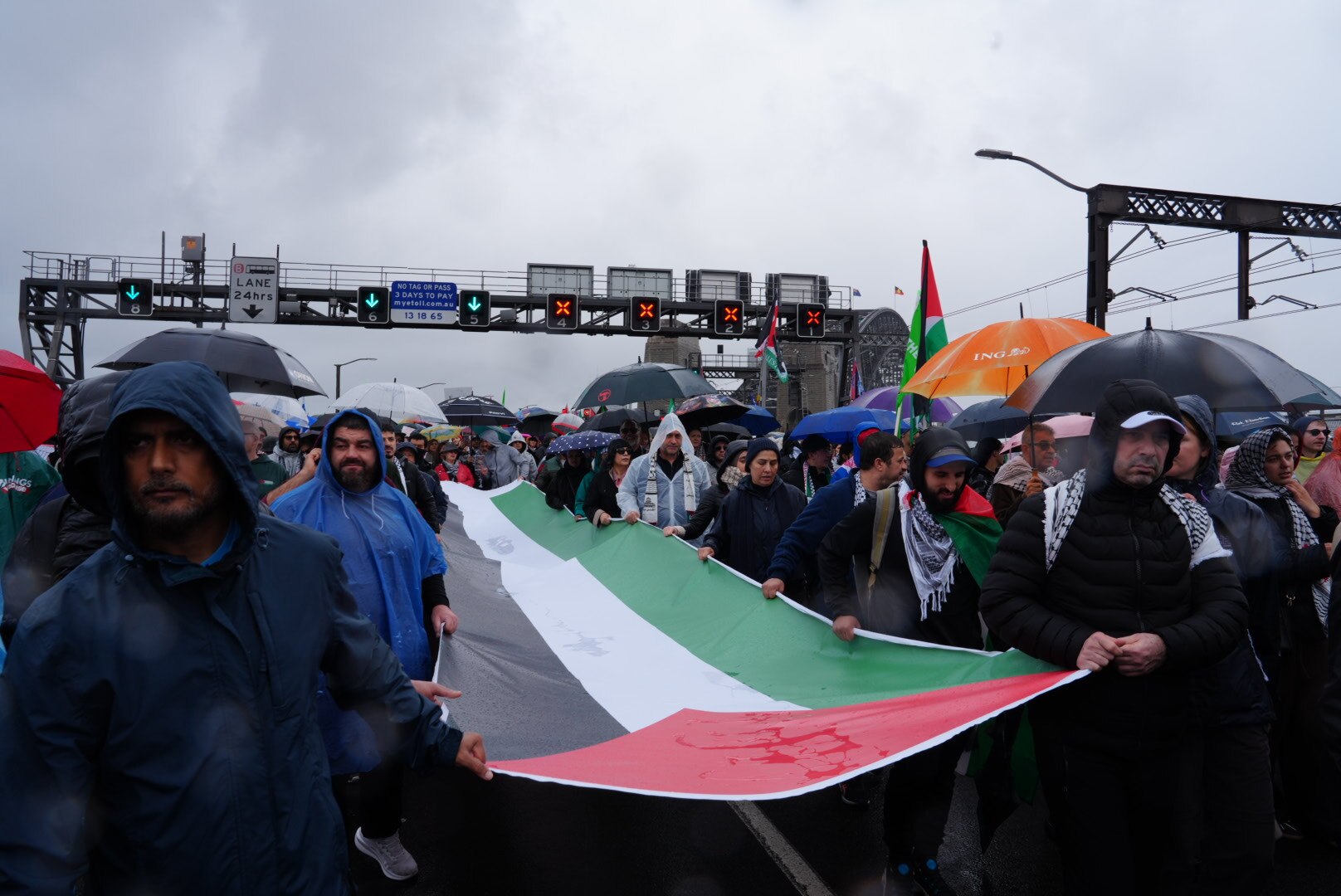 Pro-Palestinian protesters cross Sydney Harbour Bridge with flags, signs and umbrellas