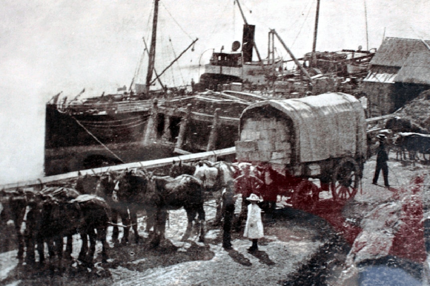 Horse-drawn wagons travelled to Tathra wharf with regional produce for export and returned with goods from Sydney.