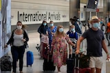 People wearing face masks wheel suitcases through an international arrivals hall at an airport.