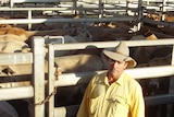 Livestock agent Jack Clanchy stands in front of the gate to a pen of cattle at the Roma Saleyards in southern Queensland
