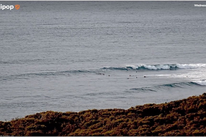 A screen shot from a website streaming Winki Pop surf beach.