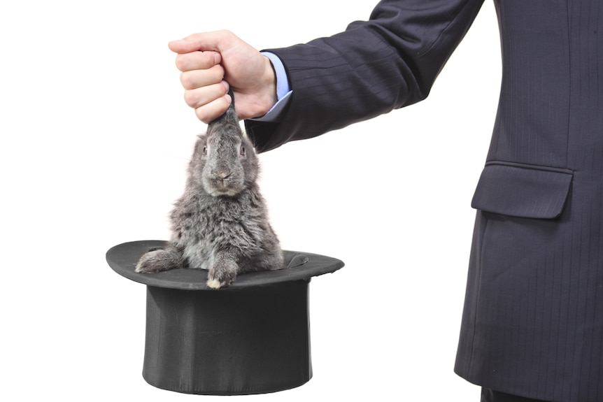 Businessman pulling a rabbit out of a top hat (Thinkstock: Hemera)