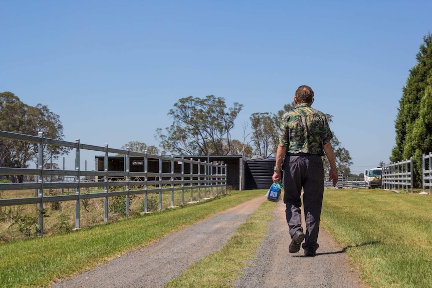 Rick Pisaturo walks toward stables with bread in hand