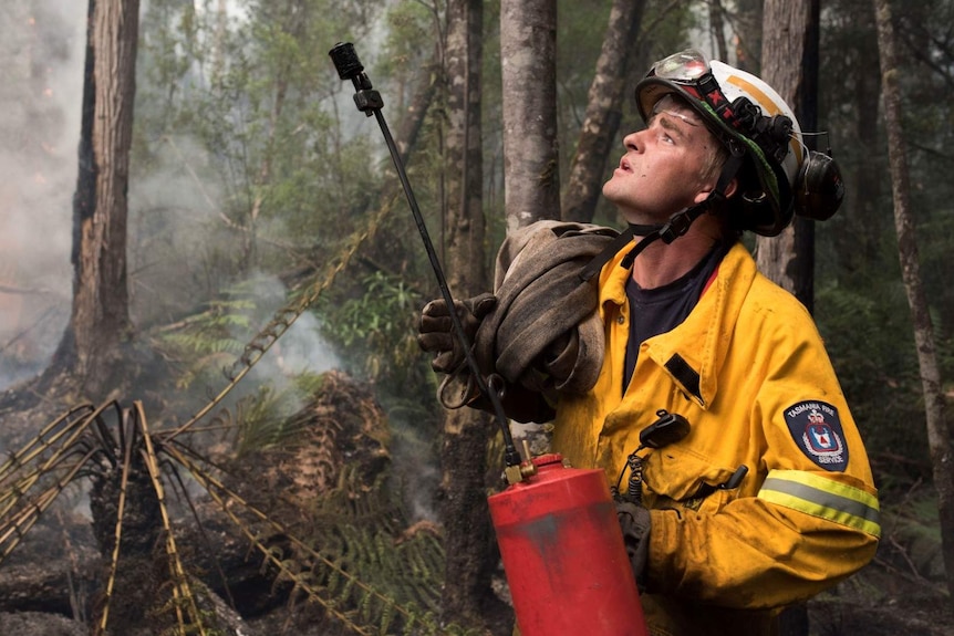 A firefighter looks up in a rainforest