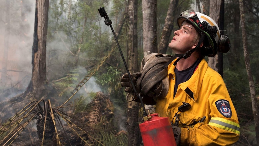 A firefighter looks up in a rainforest