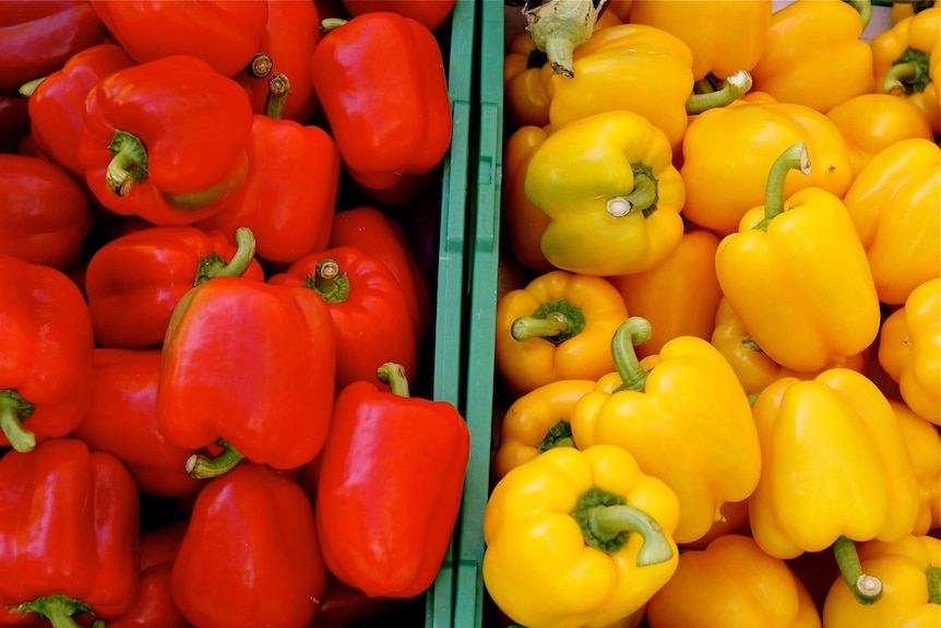 Red and yellow capsicum at a market.