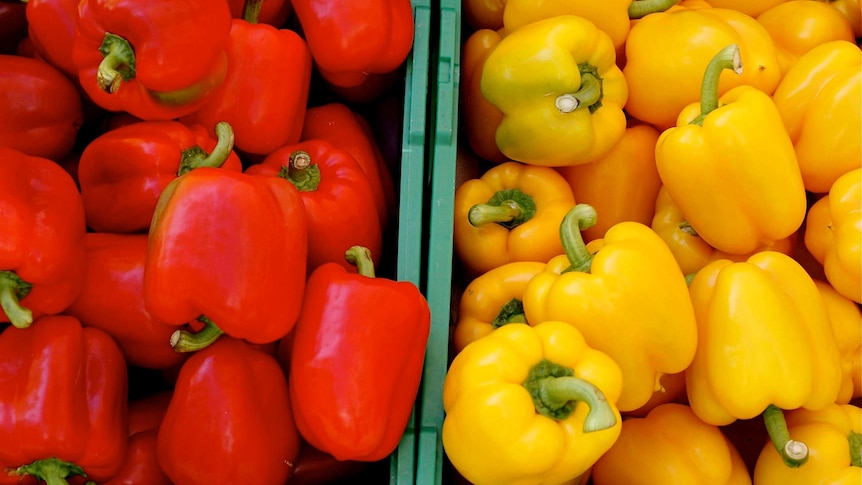 Red and yellow capsicum at a market.