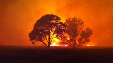 A bush fire threatens trees near Whiteheads Creek, in central Victoria, December 8, 2012.