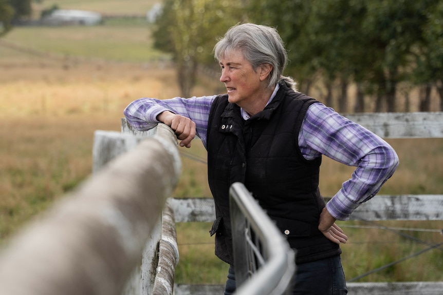 A woman leans on a fence and looks out over a paddock.