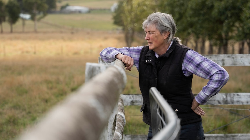 A woman leans on a fence and looks out over a paddock.