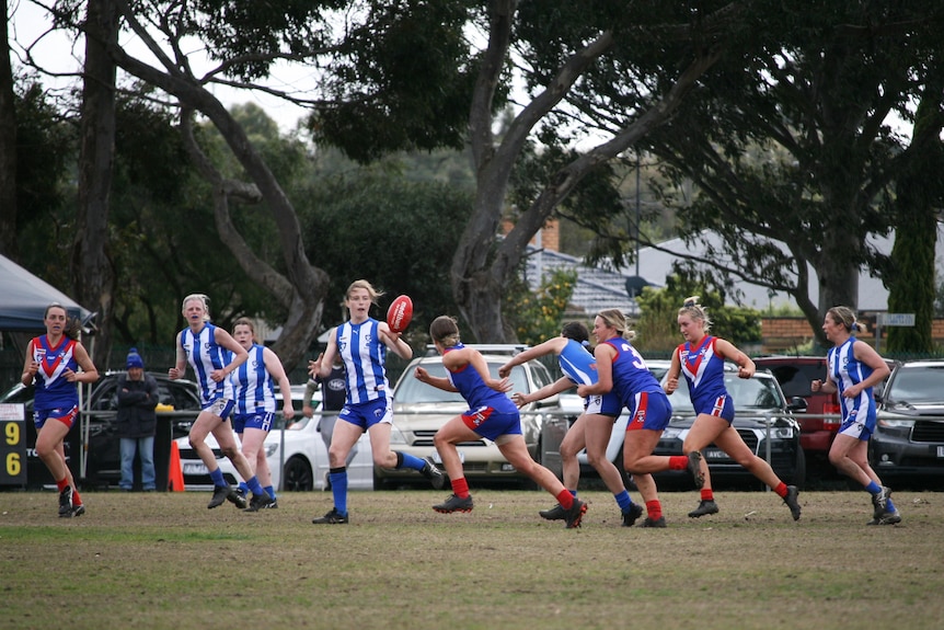 Women in blue and white jumpers on a football ground at dusk with cars in background