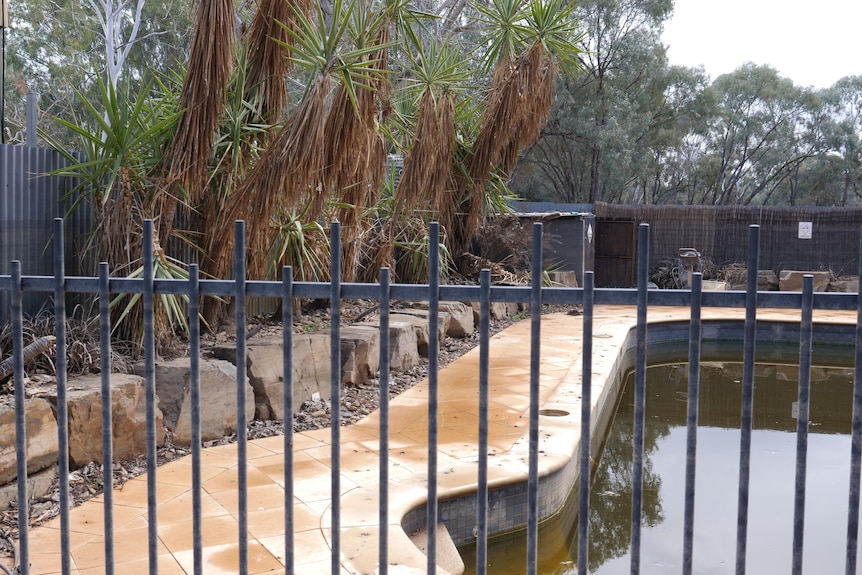 A row of rocks next to a pool with some trees growing above them. 