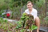A woman in a white shirt crouches in a garden holding a bundle of freshly picked lettuce.