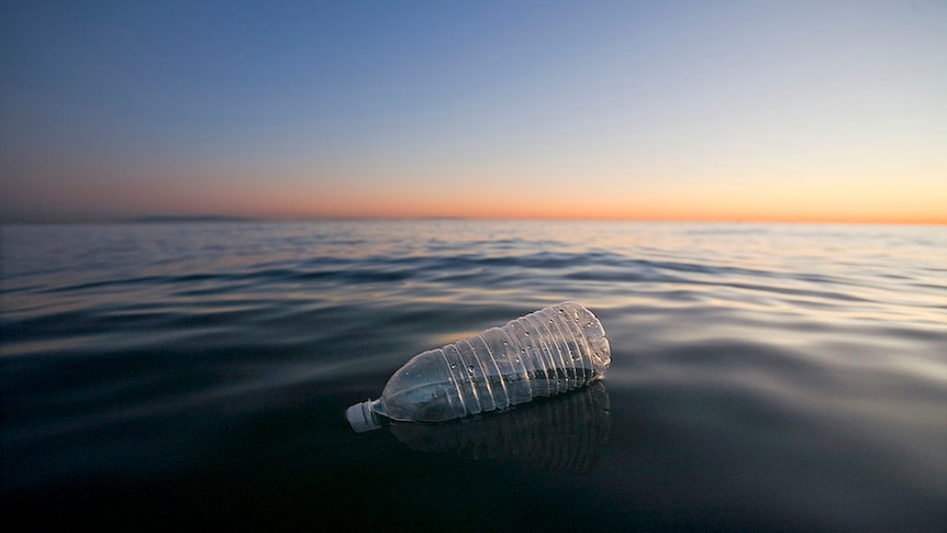 A used plastic water bottle floats on a calm ocean as the sun sets in the background