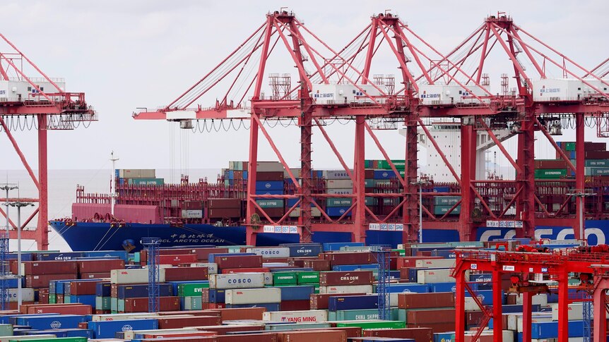 Several red cranes sit among dozens of shipping containers at a port in China