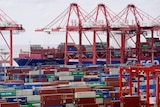 Several red cranes sit among dozens of shipping containers at a port in China