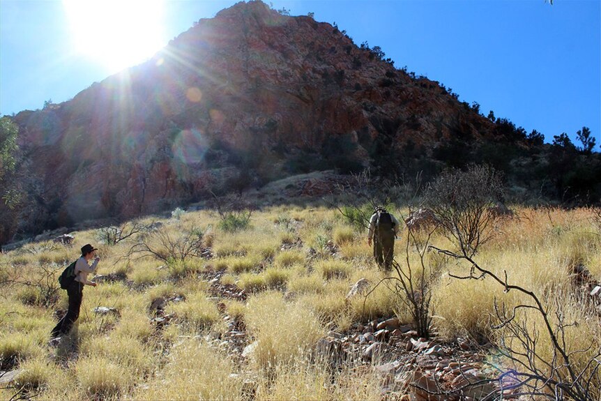 Two hikers climbing Simpsons Gap with NT Parks rangers.