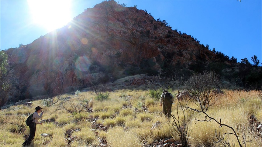 Two hikers climbing Simpsons Gap with NT Parks rangers.