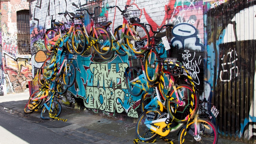 An arc of bicycles, painted in rainbow colours, leans against a graffitied brick wall