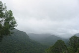 The historic Kokoda Track follows the path used by diggers in World War II and is popular with Australian tourists.