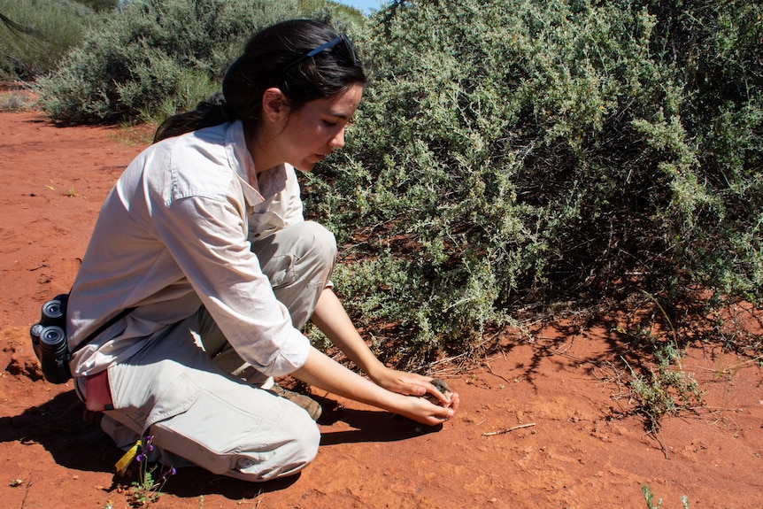 Women crouches on red dirt holding a small bird