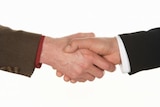 Two businessmen shaking hands, close-up