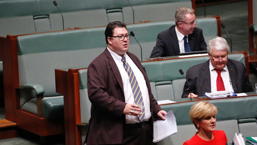 Conservative MP George Christensen walks through the House of Representatives wearing a brown suit and blue and gold tie