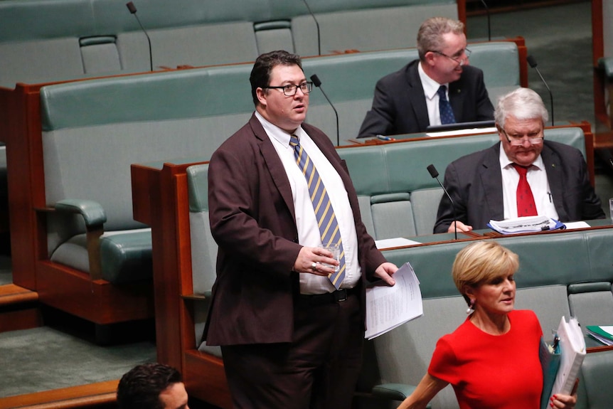 Conservative MP George Christensen walks through the House of Representatives wearing a brown suit and blue and gold tie