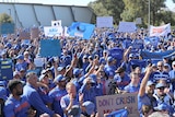A sea of Western Force supporters holding banners and flags stands outside Rugby WA headquarters under a blue sky.