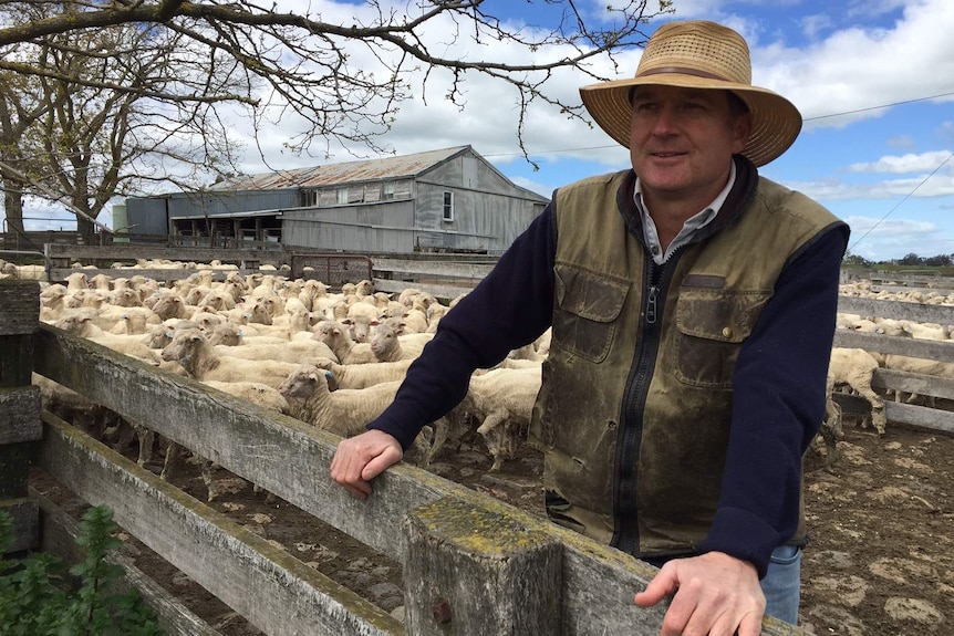 Grazier Ed Storey from Murrumbateman