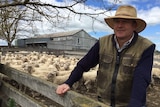 Grazier Ed Storey from Murrumbateman