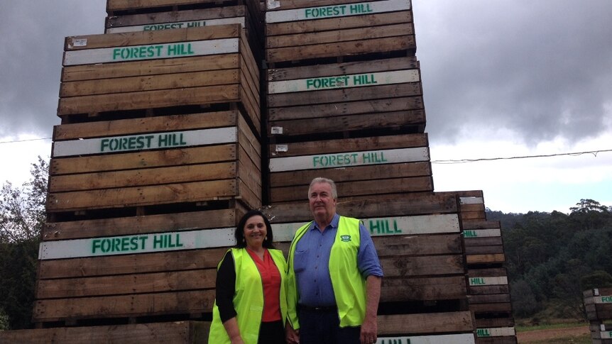 North-west Tasmanian large organic vegetable suppliers Gloria and Ian Benson, in front of a stack of wooden packing crates