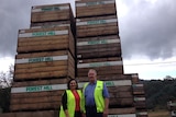 North-west Tasmanian large organic vegetable suppliers Gloria and Ian Benson, in front of a stack of wooden packing crates